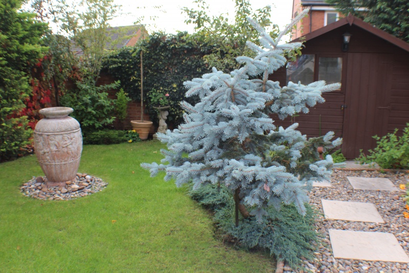 Sheldon Close  Wychbold